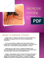 Dengue Fever 03