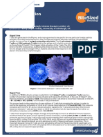 T-cell activation.pdf