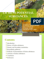 Lichens Potential Substances