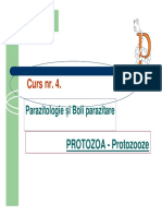 4.curs - Protozoa - Sarcodina - PDF-merged - Copie PDF