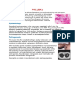 Nocardia1 PDF