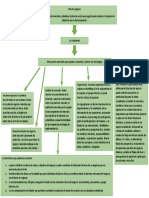 Mapa Conceptual Plan de Negocio