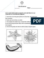 Echinoderm Cut and Paste Worksheet 2