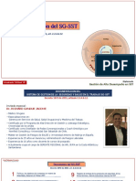 Documentacion Del SG-SST - Academia Julio-2020 - ARCHIVO PDF