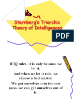 Sternberg's Triarchic Theory of Intelligences