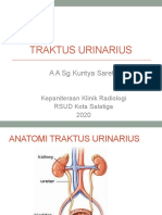 Urinarius Kuntya