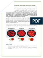 Bebidas Isotonicas Hipotonicas e Hipertonicas