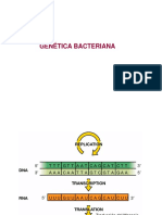 3MT Genetica Bacteriana.pdf