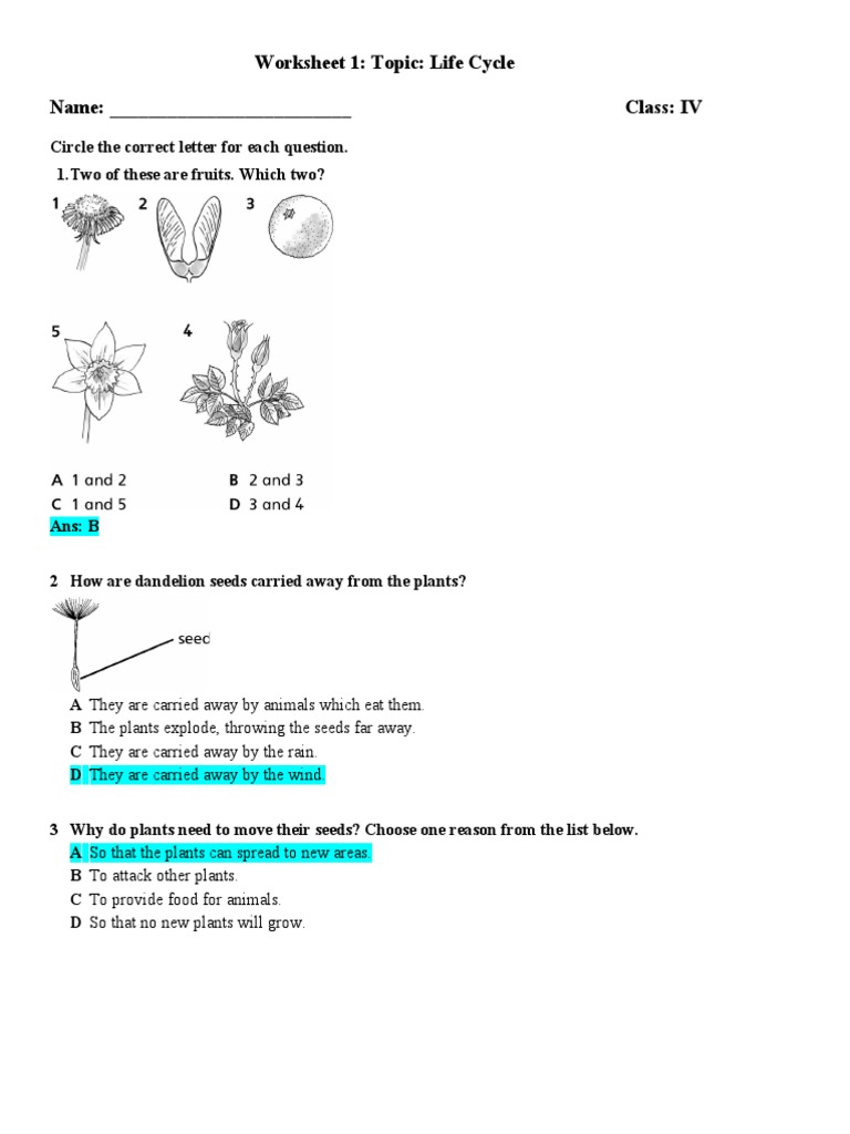 Worksheet 1 Topic Life Cycle Name Class IV PDF Flowers