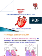 1 Anato Sist Cardiovascular. Fisiologia