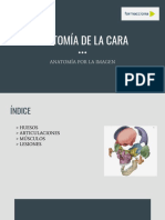 Anatomía de La Cara PDF