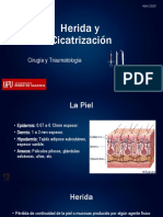 Herida y Cicatrizacion