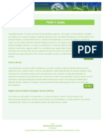 P8loc PDF