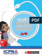 Primeros Auxilios Icpna