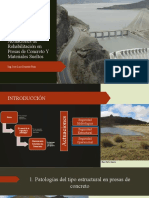 Patologías Típicas y Actuaciones de Rehabilitación en Presas