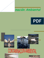 Contaminación Ambiental.ppt