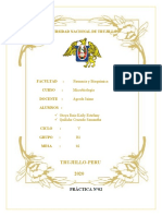 Informe 02 MICROBIOLOGIA