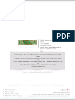 Diagnostico Preliminar Emisiones Gases PDF