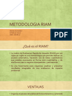 METODOLOGIA RIAM.pptx