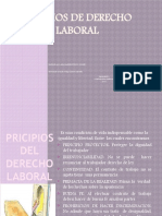 Pricipios de Derecho Laboral