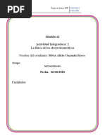 GuzmánReyes SilviaAlicia M12S1A2