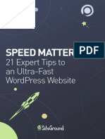 Speed Matters:: 21 Expert Tips To An Ultra-Fast Wordpress Website