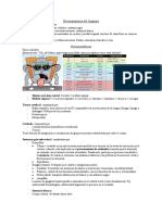 Neuroanatomía Del Lenguaje Resumen