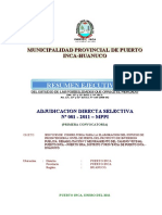 Resumen Ejecutivo: Municipalidad Provincial de Puerto Inca-Huanuco