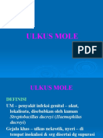 Ulkus Molle