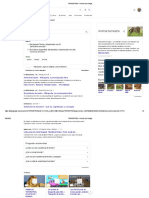 TERRESTRES - Buscar Con Google