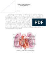 2 Unidad6 Circulacion - Pulmonar PDF