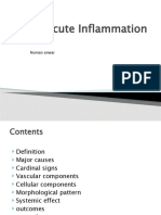 Acute Inflammation