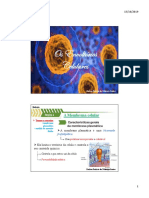 Citologia 02. Envoltórios Celulares PDF