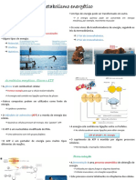 Metabolismo Parte I