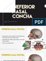 Inferior Nasal Conchaa PDF