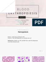 Blood Erythropoiesis: Ibutnadi Iduyan Ilagan Jarin Lopez