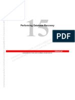PF I DTB R Performing Database Recovery