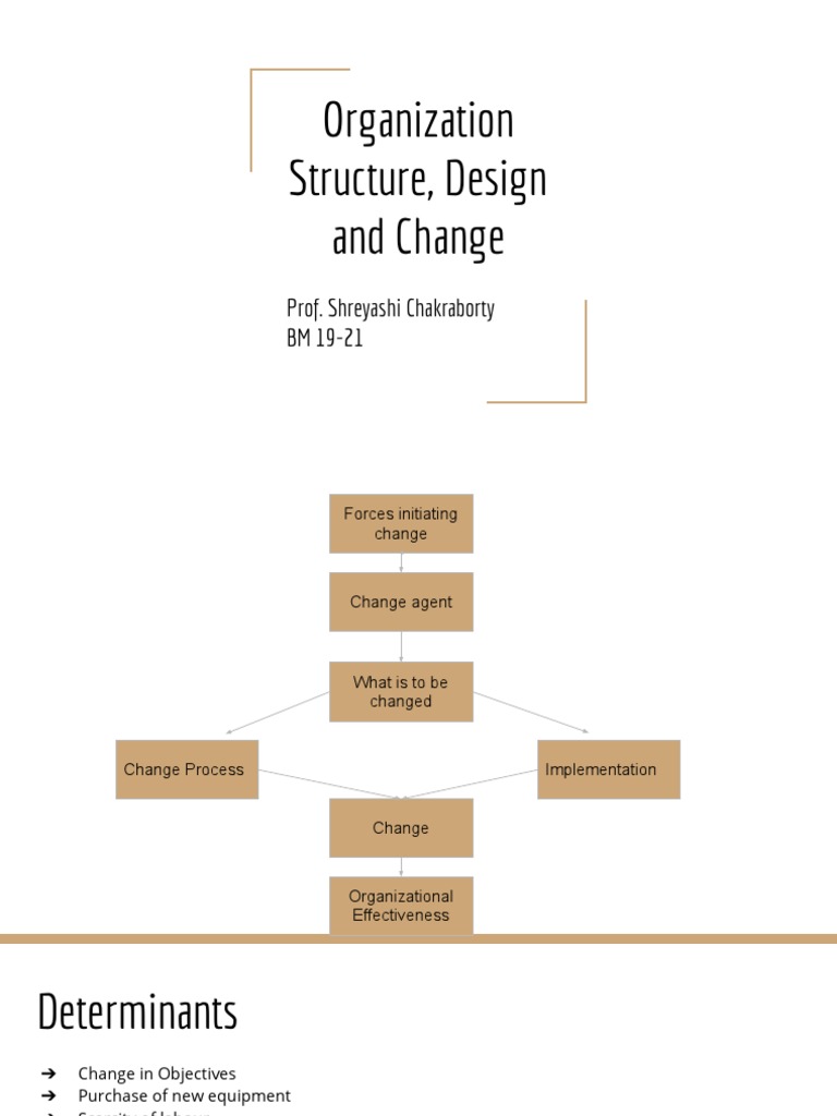 Organizational Change Strategies and Effects | PDF
