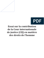 Essai Sur La Contribution de La CIJ en Matière de Protection Des Droits de L'homme