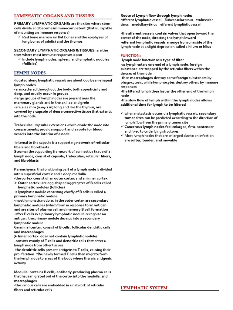 Lymphatic Organs and Tissues | Descargar gratis PDF | Lymph Node ...