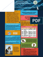 2.poster de Electivo Epilepsia Canina Genes PDF