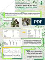 Poster_Diet models in neotropical primates in captivity.pdf