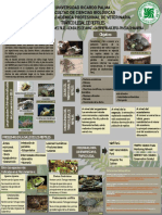 Tráfico ilegal de reptiles.pdf