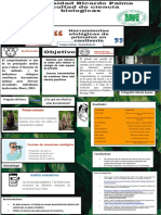 Infografia Primates PDF