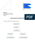 Trabajo Morfo Miemros