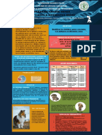 2.Poster de Electivo Epilepsia canina Genes.pdf