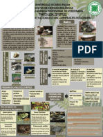 Trafico ilegal de reptiles Poster Final.pdf