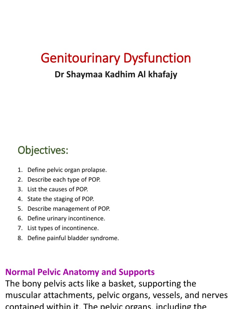 Lec.18 Genitourinary Dysfunction | PDF | Urinary Incontinence | Vagina