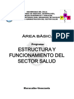 Estructura Funcion Sector Salud PDF