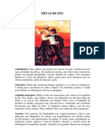 ERVAS DE EXU.pdf
